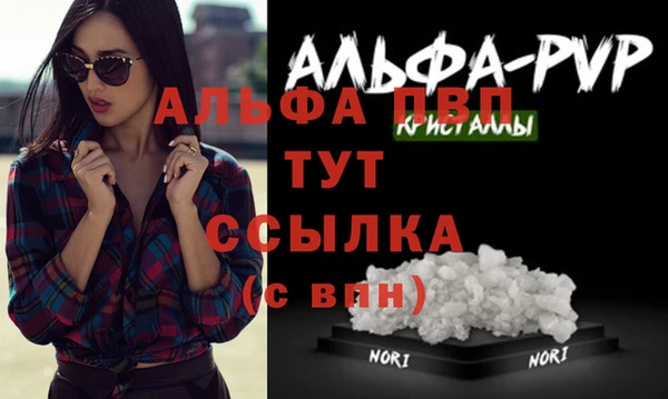 дживик Новозыбков