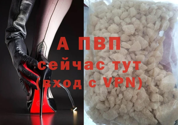 дживик Новозыбков