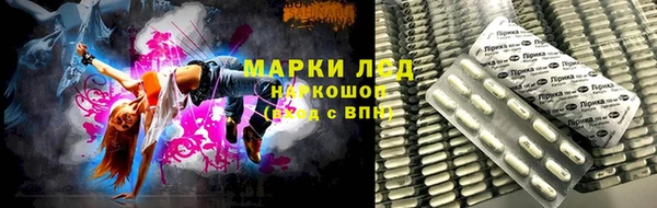 ПСИЛОЦИБИНОВЫЕ ГРИБЫ Нефтегорск