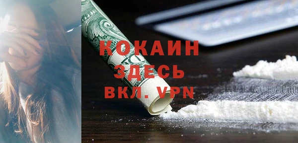дживик Новозыбков