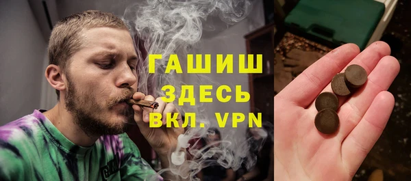 молекула духа Белая Холуница