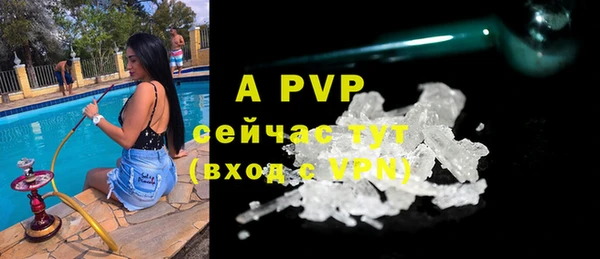 таблы Новодвинск